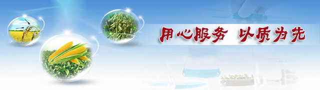 樱桃视频下载APP成人版樱桃视频APP污电影用心服务以质为先