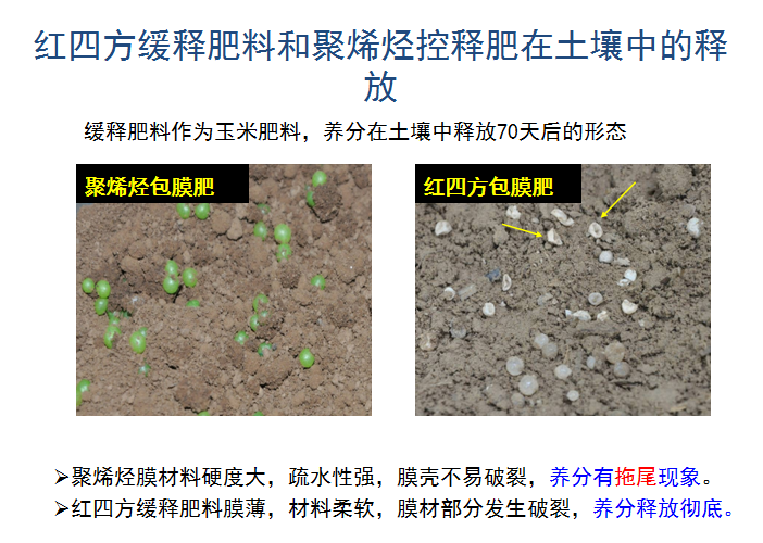 樱桃视频下载APP缓释肥释放肥效展示