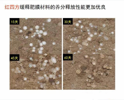 樱桃视频下载APP缓释肥膜材料养分释放性更优良