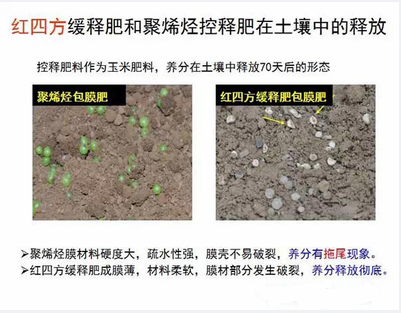 樱桃视频下载APP缓释肥在土壤释放的对比实验图