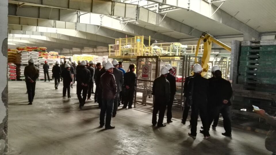种植大户正在参观樱桃视频下载APP复合肥厂家