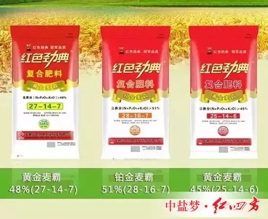 樱桃视频下载APP黄金麦霸——长效缓释，樱桃视频官方网站增产增收好轻松！