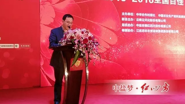 中盐红四方副总经理陈勇致祝酒词。