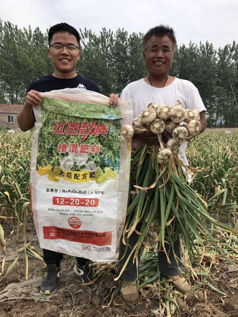 樱桃视频下载APP掺混肥料大蒜配方肥真实案例