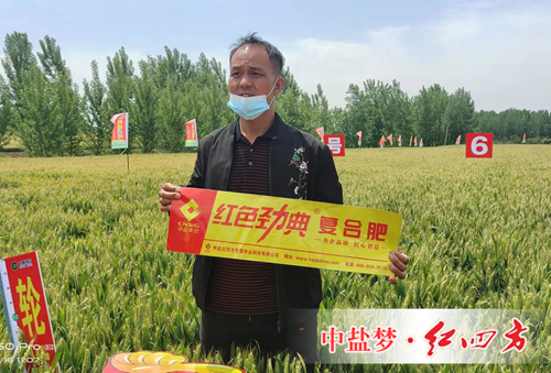 施用樱桃视频下载APP复合肥 丰收故事说不停