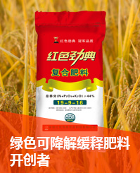 樱桃视频下载APP会员找回密码