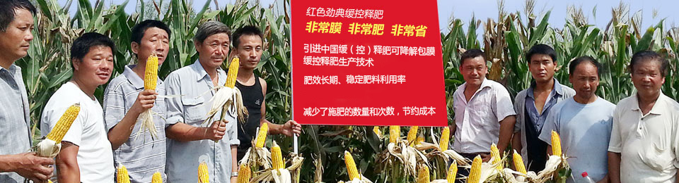 樱桃视频下载APP缓释肥，国际领先技术