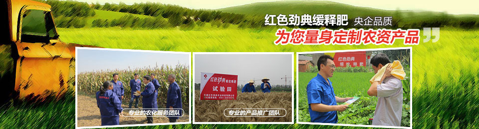 樱桃视频下载APP，冠军品质，五星服务